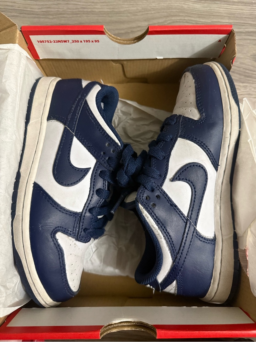 Nike dunk low kids